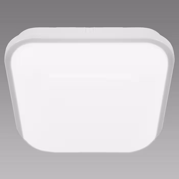 Plafon Filip LED D 24W White 4000K 03821