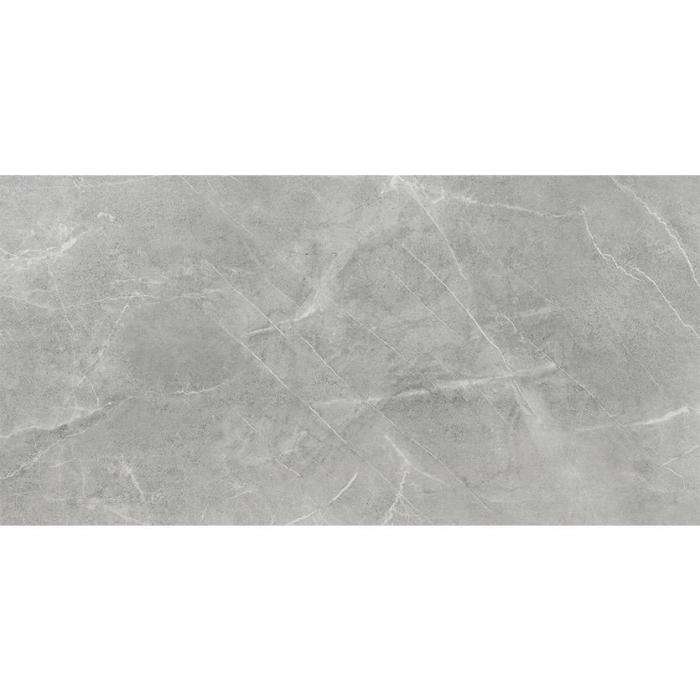 Gres Ambrosio Gris 119,7/59,7