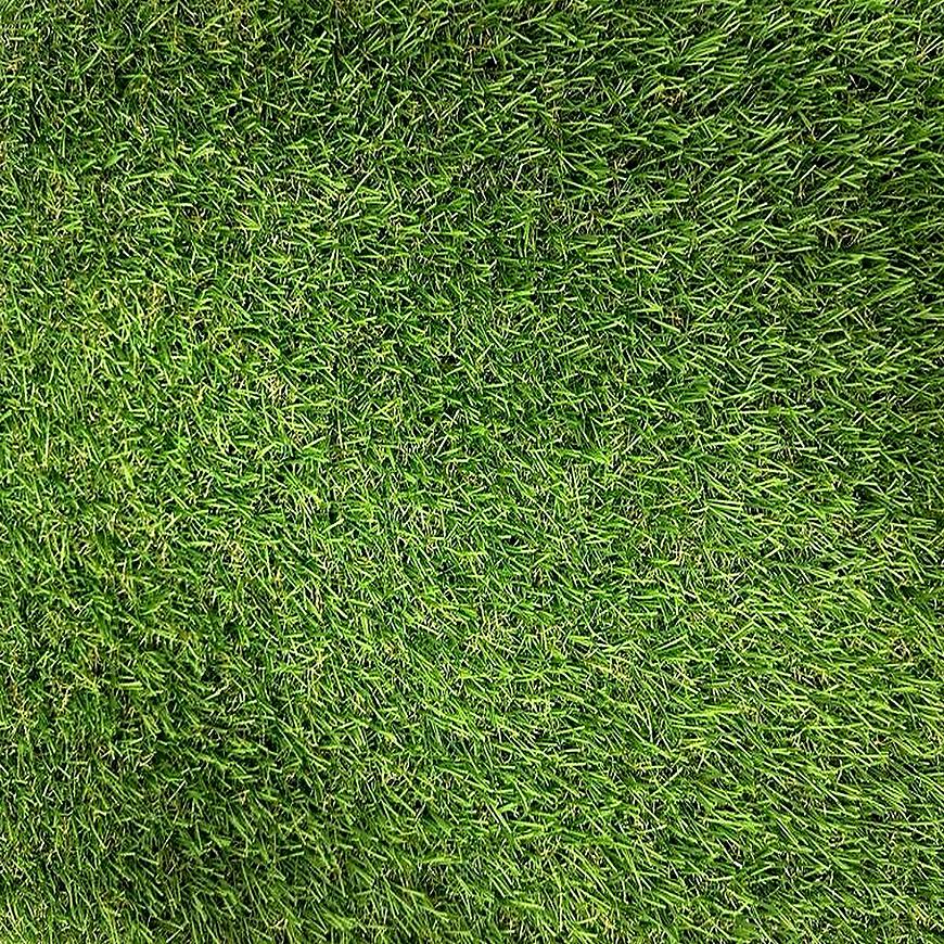 Sztuczna trawa Capri rolka 100cm x 200cm