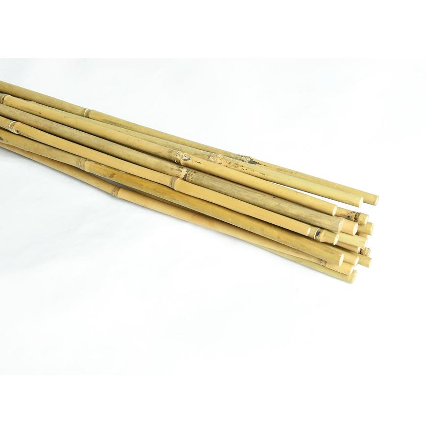 Palik bambusowy 120 cm 08/10 mm 20 szt.