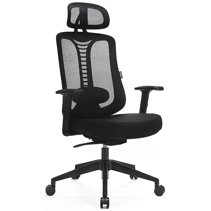 Krzesło Obrotowe Ergo Essential Lv0653