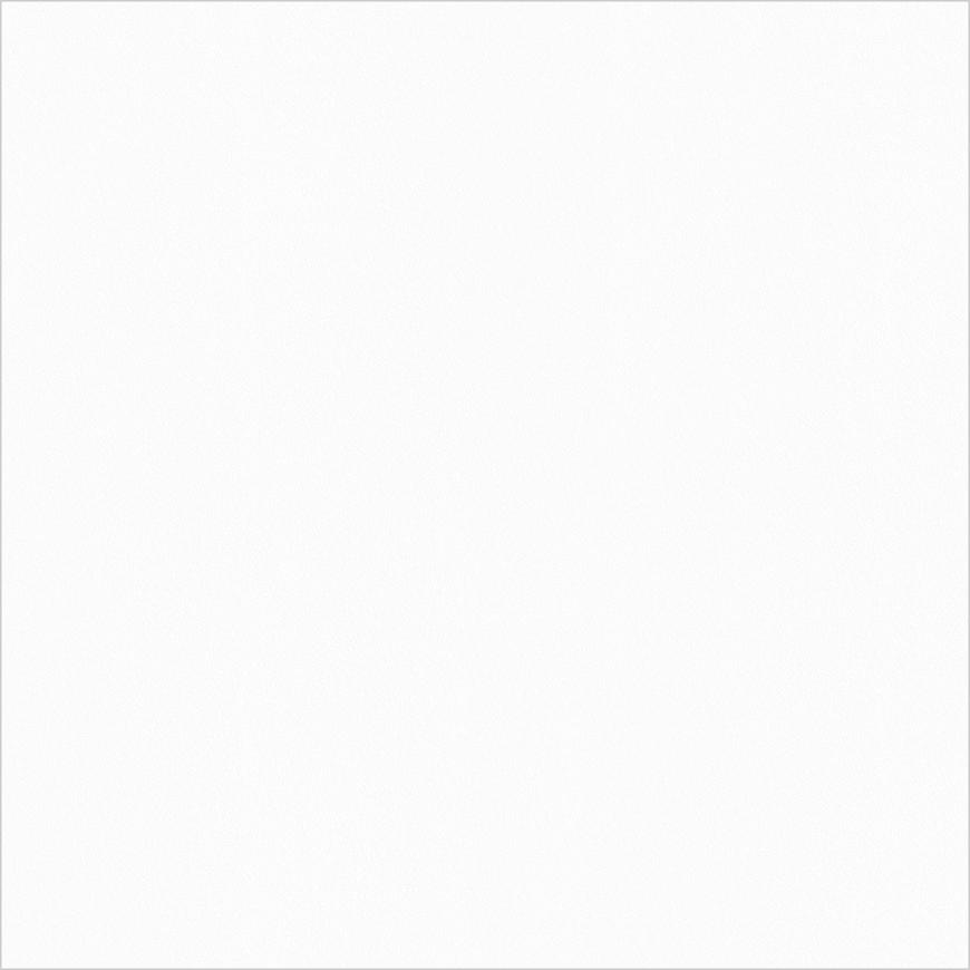 Monolook White Lappato 59,8/59,8