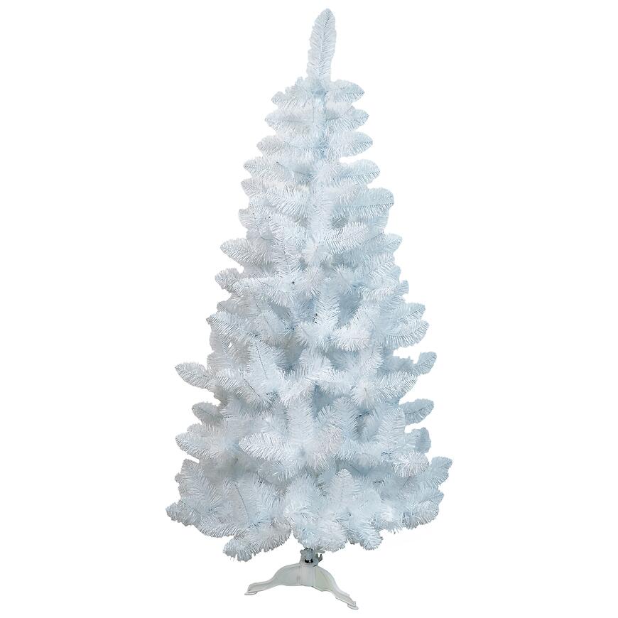 Choinka sosna biała 180 cm