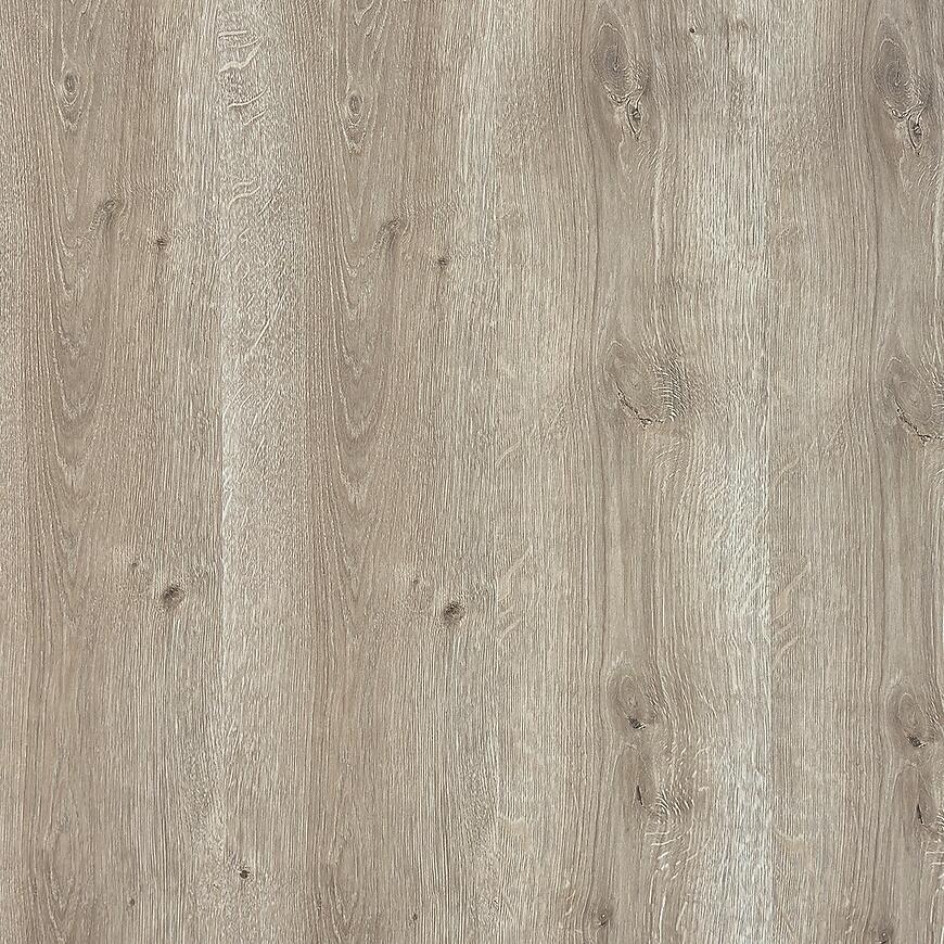 Panel podłogowy Dąb Salerno 8mm AC4 Promo 4569